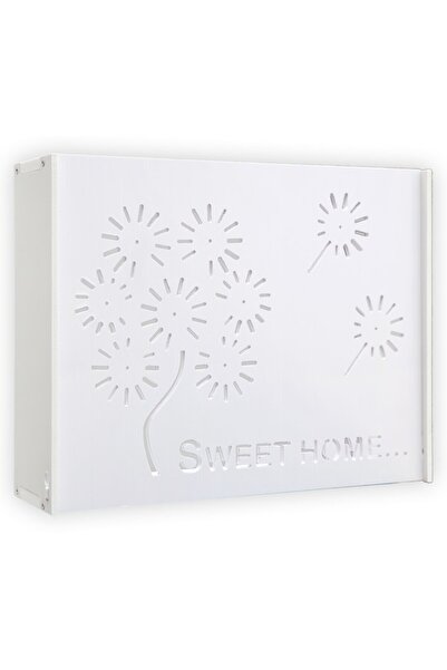 EvoSmart Raft Suport Router Wireless EvoSmart™ M3 pentru mascare fire si echipament WI-FI, posibilitate mon