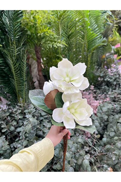 KOZALILAR Doğal Görünümlü Dekoratif Yapay Manolya Dalı