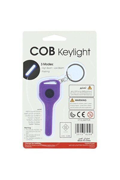 Royal Falcon Key Shape LED Light