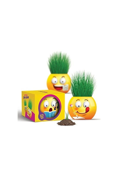 OMZ ألعاب تعليمية، مجموعة رجل العشب، الجيل الجديد من رجل العشب، قطعتان، لعبة ...