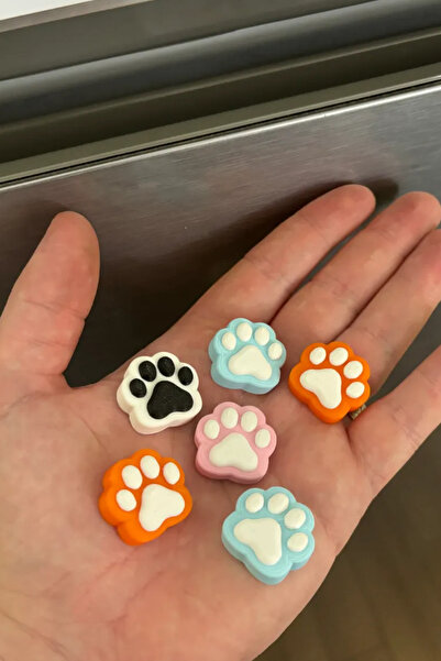 Genç 3D Kedi Patili Magnet | Güçlü Neodyum Mıknatıs | Karışık Renk | Buzdolabı ve Pano İçin | 8 ADET