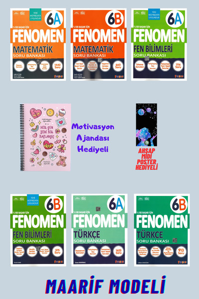 Fenomen Yayıncılık 6.Sınıf Matematik A-B+Fen A-B ve Türk A-B Soru+Motivasyon ...