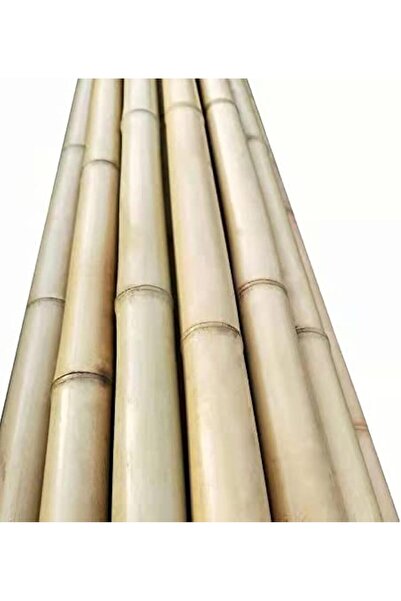 genric FFD Natural Bamboo Poles for Plant Support - 120cm - Strong Gardening Sticks Pack of 5