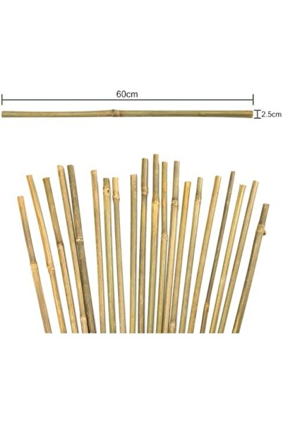 genric FFD Premium Natural Bamboo Plant Support Stakes 120cm - Indoor and Outdoor Garden Pack of 6