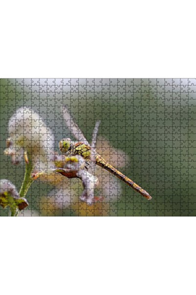 Cakapuzzle لغز الصور المقطوعة من كاكاسيبتيم بتصوير قريب لعثة على غصن شجرة، 50...