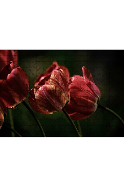 Cakapuzzle Cakasepetim Red Poppies Dark Background 120 Piece Puzzle Jigsaw Pu...