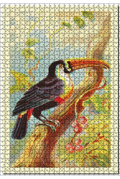 Cakapuzzle Cakasepetim Toco Toucan Bird Image 1000 Piece Puzzle Jigsaw Mdf (W...