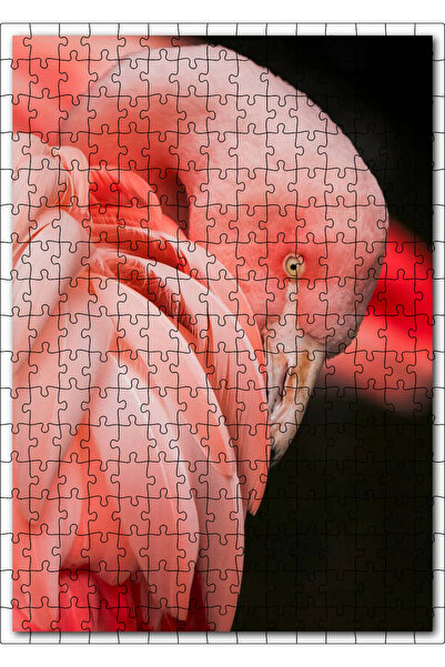 Cakapuzzle Cakasepetim Black Background Flamingo Close-Up 255 Piece Puzzle Ji...