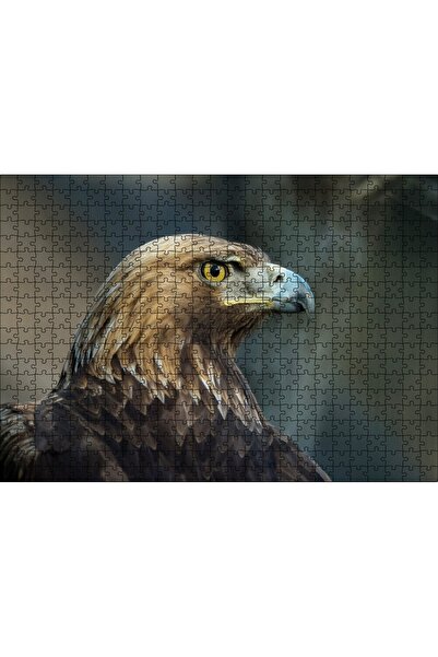 Cakapuzzle لغز تركيب الصور المقطعة من كاكاسيبتيم، 500 قطعة، تصميم نسر ذو مظهر...