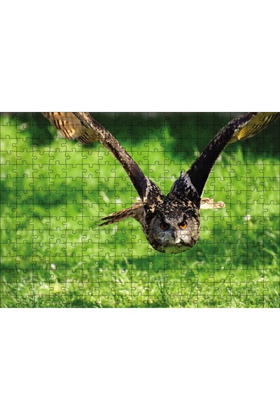Cakapuzzle Cakasepetim Flying Owl in Nature 120 Piece Puzzle Jigsaw Mdf (Wood)