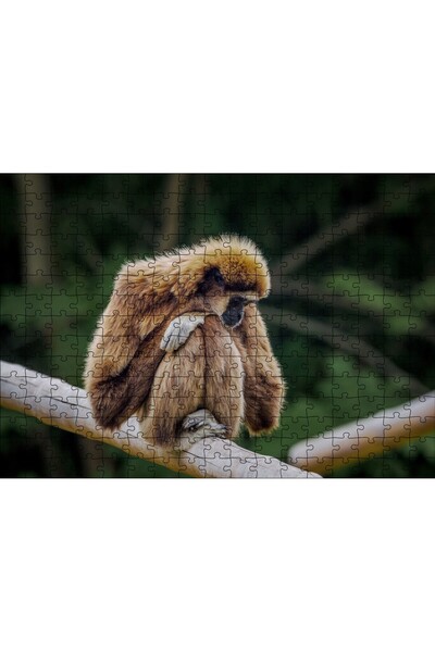 Cakapuzzle Cakasepetim Gibbon Monkey Resting on Bamboo 120 Piece Puzzle Jigsa...