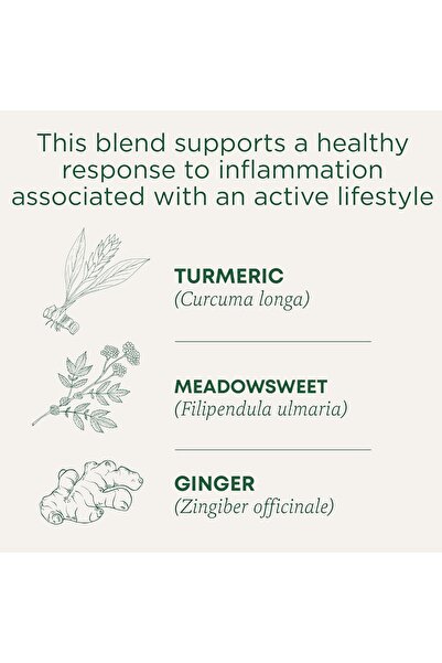 TRADITIONAL MEDICINALS Turmeric with Meadowsweet and Ginger Tea, 16 Count
