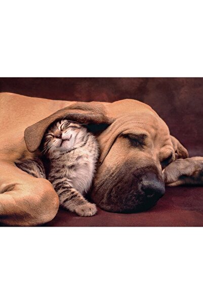 CLEMENTONI Puzzle - Love, 500 piese