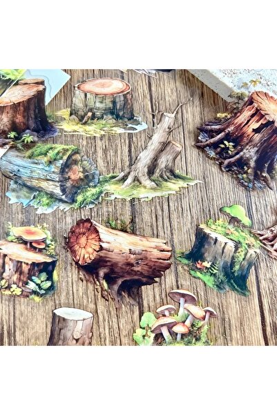 choice2 1 25 قطعة ملصقات حيوانات الغابة والأحجار، ملصقات جمالية لتزيين ألبوما...