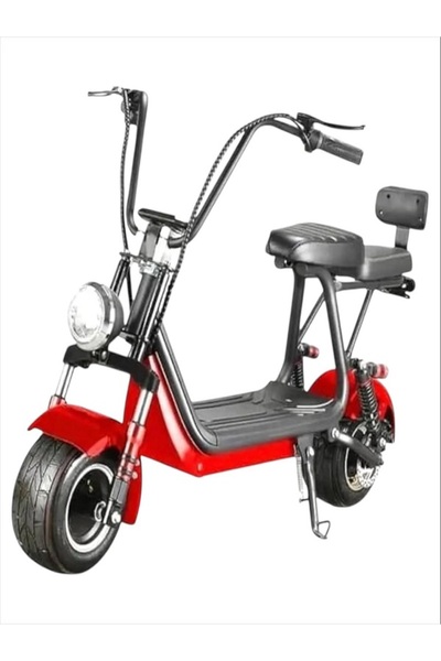 My modern game Electric Scooter for Adults, 800W, 48V, 20Ah, with Two Seats