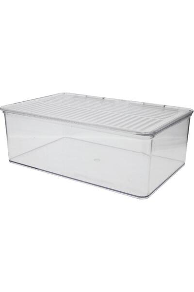 Royal Falcon Stationery Holder
