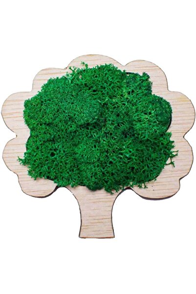 OEM Decor Pom HH1548 din lemn Personalizat cu Licheni 10x9 cm