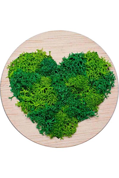 OEM Decor Inima HH1544 din lemn Personalizat cu Licheni - 30x30 cm