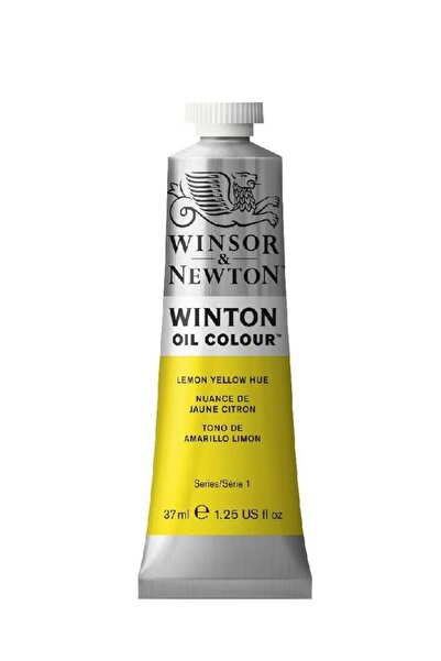 Winsor Newton Winton Multi Oil Color Set