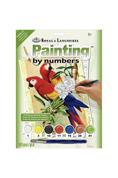 Royal&Langnickel ببغاوات الخيزران - التلوين حسب الرقم