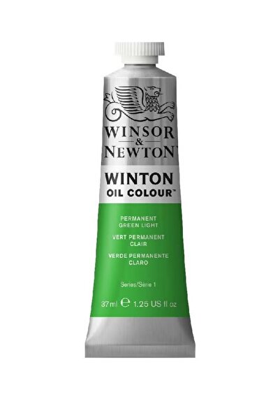 Winsor Newton Winton Multi Oil Color Set