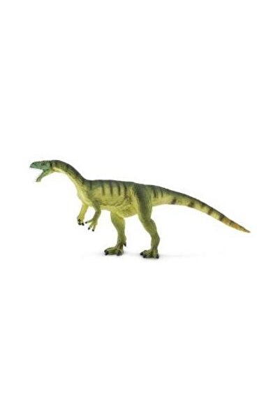 Safari Masiakasaurus