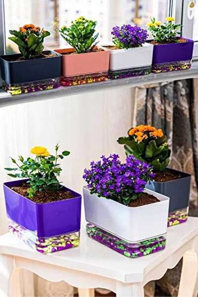 zeynobella Akıllı Saksı Dekoratif Dikdörtgen Akıllı Saksı