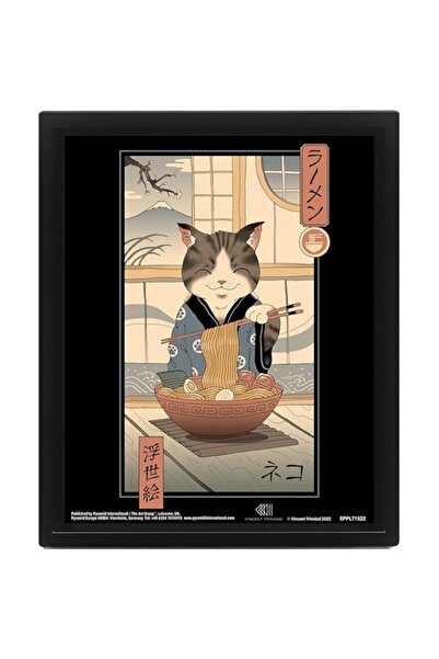 Generic الهرم الدولي فنسنت ترينيداد (نيكو رامين أوكييو-E) مؤطر ثلاثي الأبعاد