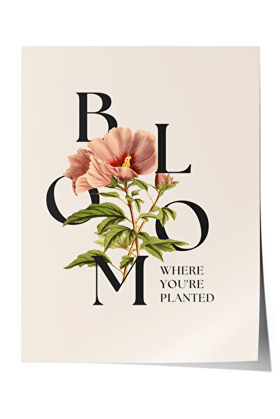 Zestia Plakat bez okvira, tipografski dizajn cveta, plakat za dekoraciju kanc...