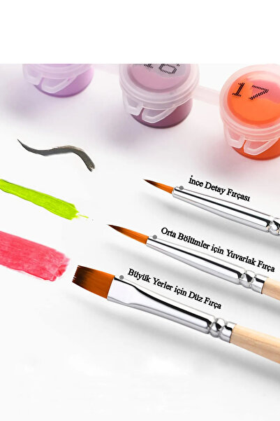 abbara Sayılarla Boyama Hobi Seti Çerçeveli Tuval Fırça Boya Dahil Kasnaklı 40x50 Cm Limonlu Ev