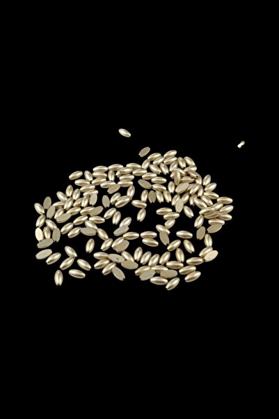 Serhat Aksesuar ve El İşçilik خرز ذهبي 10×5 ملم (30 جرام 240 قطعة)