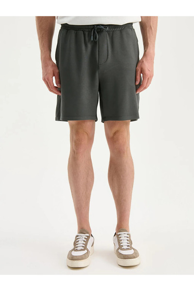 LC Waikiki LCW VisionYeşil Standart Kalıp Erkek Şort