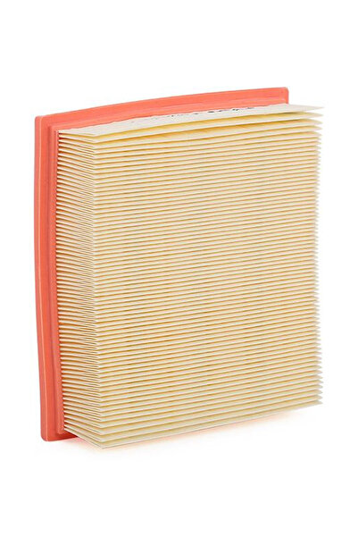 SIEGEN Filtron Ap 072/1 Air Filter