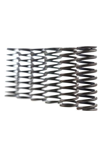 FERODO Set arcuri ambreiaj FSS0202 - Racing