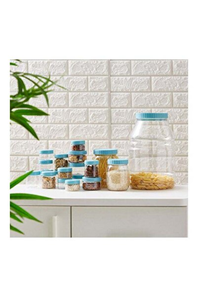 Home Box 38-Piece Spectra Pet Food Storage Container Set Blue/Clear 25x14cm