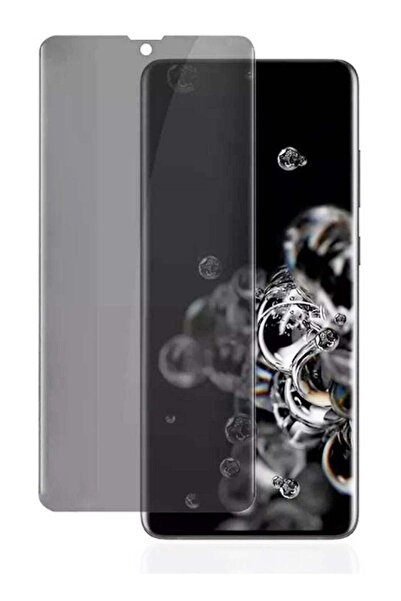 Generic ملصق هيدروجيل غير لامع للخصوصية لهاتف Galaxy F34