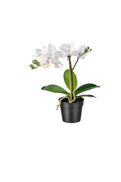Generic Artificial potted plant, white orchid, 9 cm