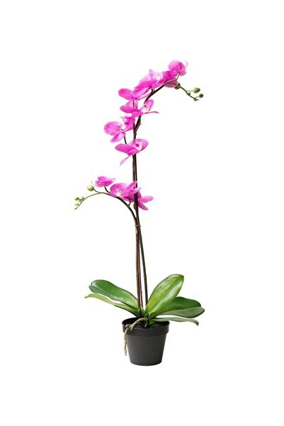 Generic زهرة أوركيد صناعية وردية/خضراء 65 سنتيمتر