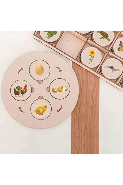 Gracieux Moda Montessori Wooden Educational Life Cycle Tray Toy, Learning Animals for Preschool Children