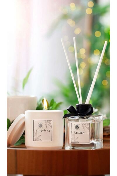 modesign UĞURLU BİR BÖCEK Dekoratif 2'li VANİLYA VE AMBER Kokulu Ve Beton Mum...