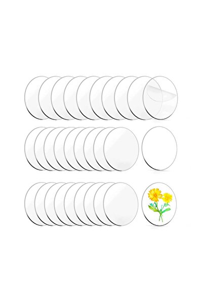 Slasa 30 قرصًا أكريليكًا شفافًا، أقراص أكريليك دائرية لعيد الفصح، والهالوين، والكريسماس، والحرف اليدوية