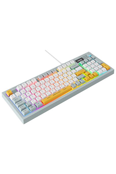 Appa Everest KB-79 SILENT PRO Mavi/Beyaz/Sarı SESSİZ RGB Q Membrane Oyuncu Klavyesi