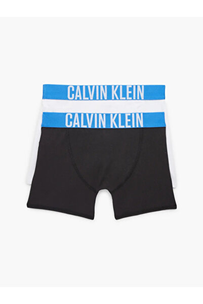 Calvin Klein 2PK BOXER BRIEF Erkek Siyah Boxer Set