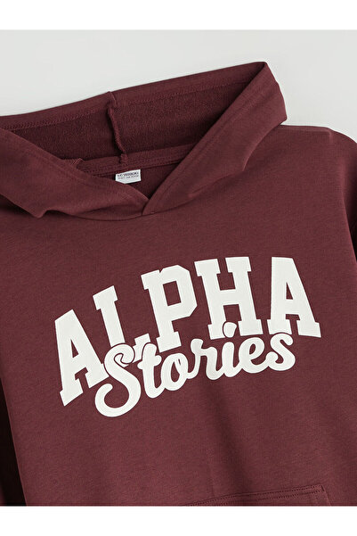 LC Waikiki LCW Kids Mürdüm Kapüşonlu Erkek Çocuk Sweatshirt W5FL51Z4