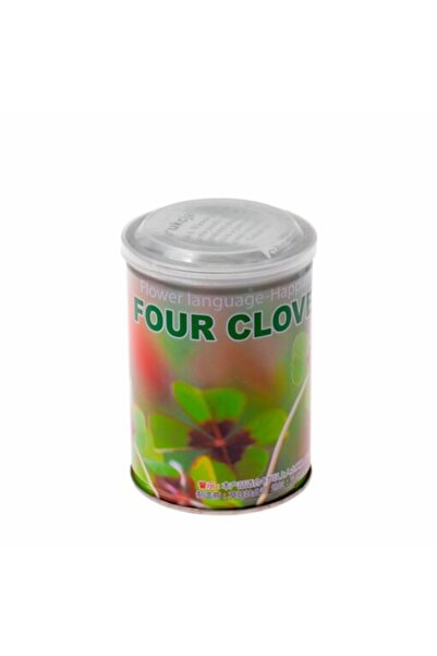 Gadget Master Trifoi la cutie