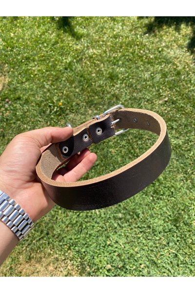 Sürmeli Tasma Small and Medium Breed Genuine Leather Dog Collar 60 cm