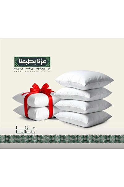 Generic 4 Luxury Hotel Pillows + 2 Free Gifts