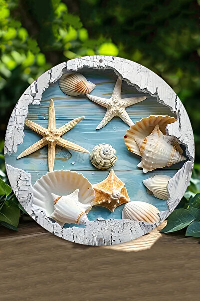 kutuTR Deniz Yıldızı & Kabuğu Tasarımlı UV Baskı 3D GÜRÜNÜMLÜ MDF Duvar Süsü ...