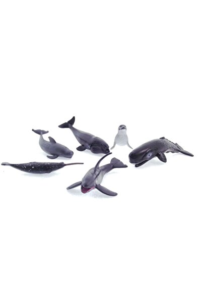 Angel Of Life Model Mammal Sea Animals