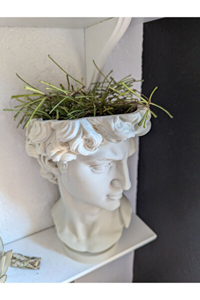 Dizayn David Saksı Dekoratif David Büstü Saksı Model 20cm Davut Heykeli Ev Of...